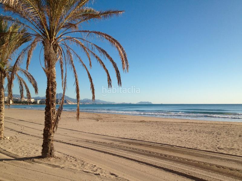 Foto ea3bad7c-bbc2-4cab-b1ca-c7ba6b766147. Apartament amb aparcament a Campello Playa Campello (el)