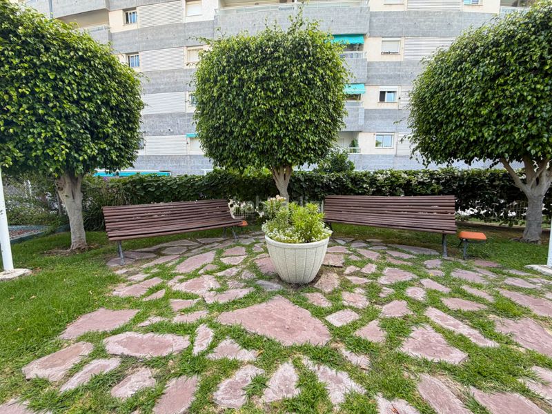 Foto 8a49e55a-841d-4e69-86d3-773f75ef8eac. Apartament amb calefacció piscina a Playa Muchavista Campello (el)