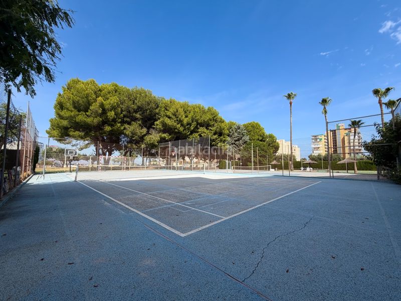 Foto e71a7576-9e65-4913-85e8-4c00c20166e7. Apartament amb calefacció piscina a Playa Muchavista Campello (el)