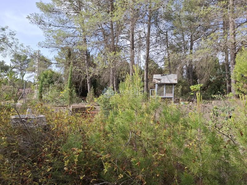 Foto 12d40148-8dae-40da-bb9c-6fc109a3a34e. Xalet a Moixent