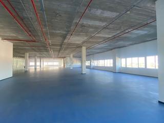 Business premise in edificio el mundo