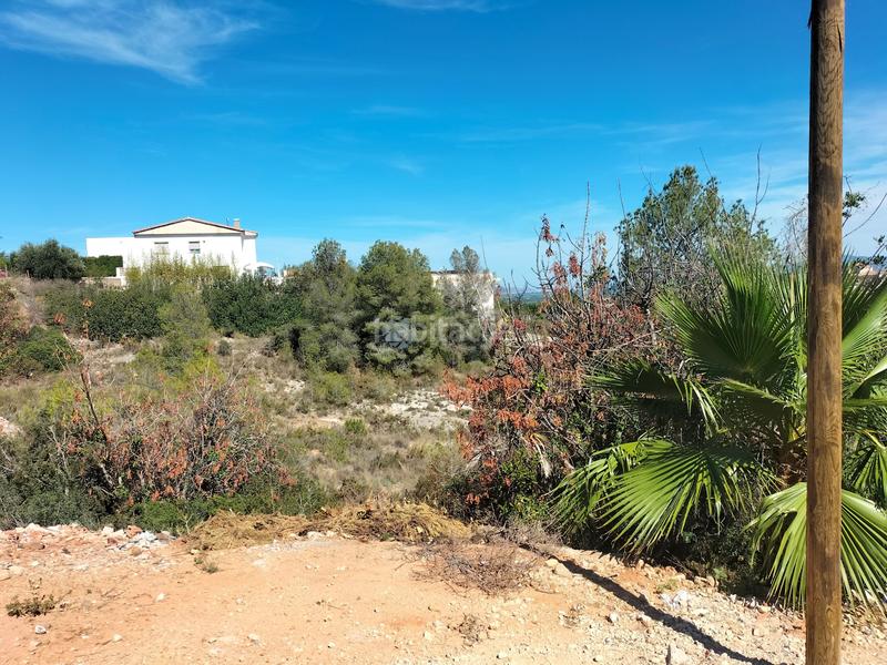 Foto 1c748e50-3a1b-4e83-926b-e54c975aaa9c. Terreno residencial en Alginet