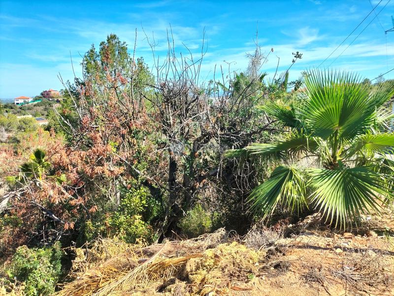 Foto 8177572e-cba1-460f-9196-ca7b473111bd. Terreno residencial en Alginet