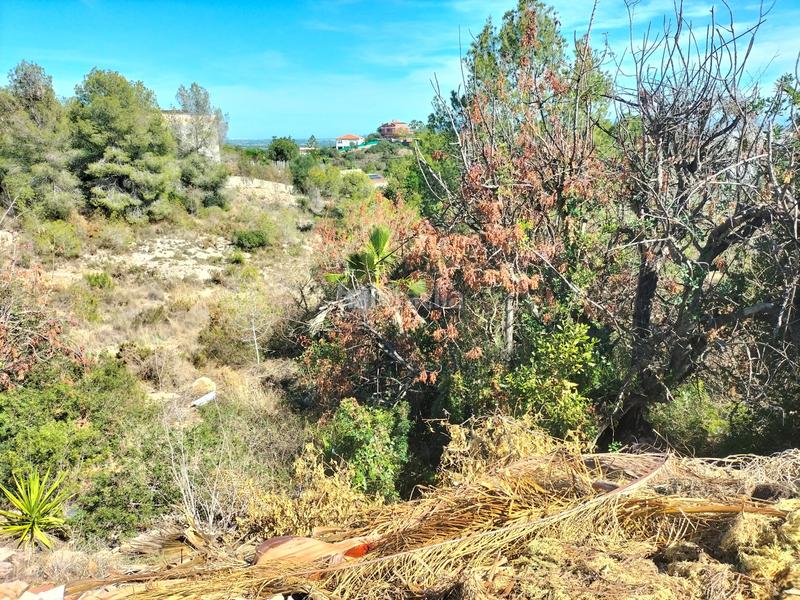 Foto 8aff03a0-3dba-464f-8f71-0aa18bb93d55. Terreno residencial en Alginet