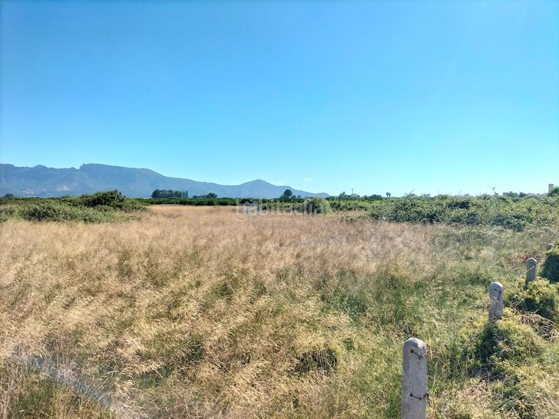 Foto b462cef6-6b83-4d03-a639-be85bffe42f8. Terrain résidentiel dans Sueca Sueca