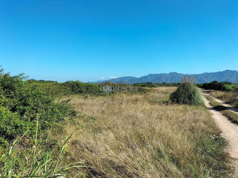 Foto cb716b0f-12b3-4925-b94e-1f406a87faeb. Terrain résidentiel dans Sueca Sueca