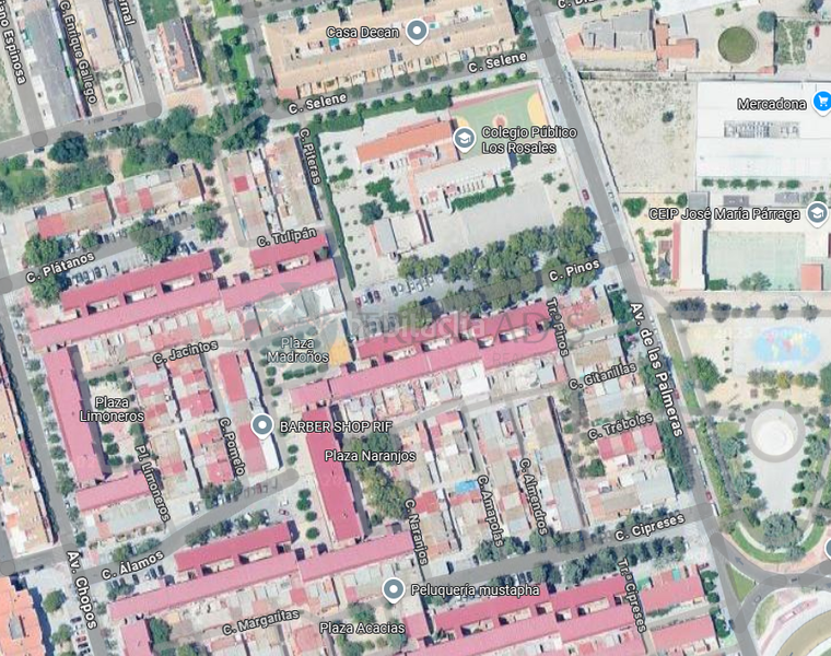 Foto ebf3414a-d74c-4728-98ec-e9b447dc3f72. Pis a El Palmar Murcia