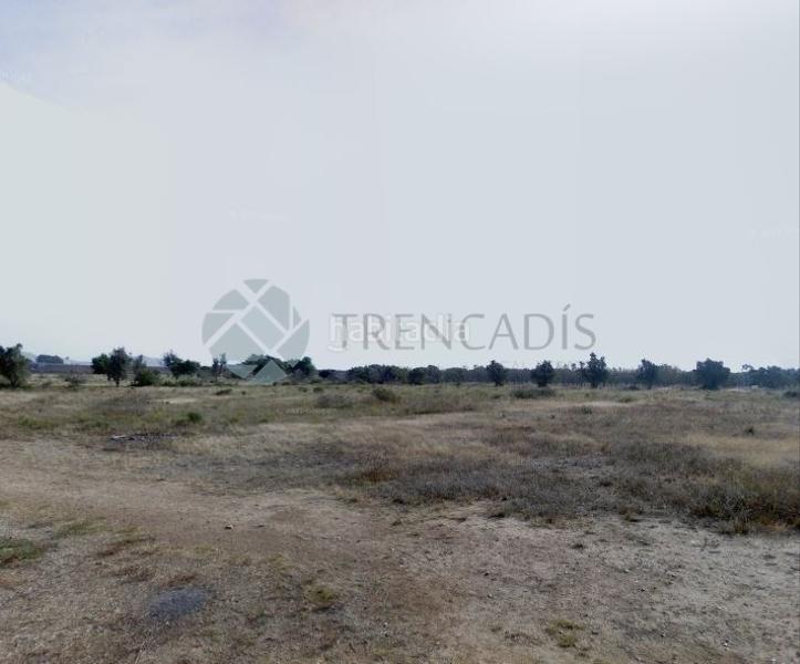 Foto e0d65978-bc9f-4f70-8b99-1068040d6404. Terreny residencial a Centro Chiva