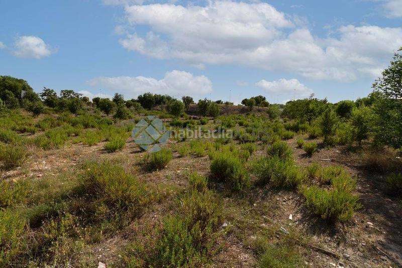 Foto 5d208a2e-0818-43e3-ba3d-73d28bbc9db1. Terreny residencial a Rejas Madrid