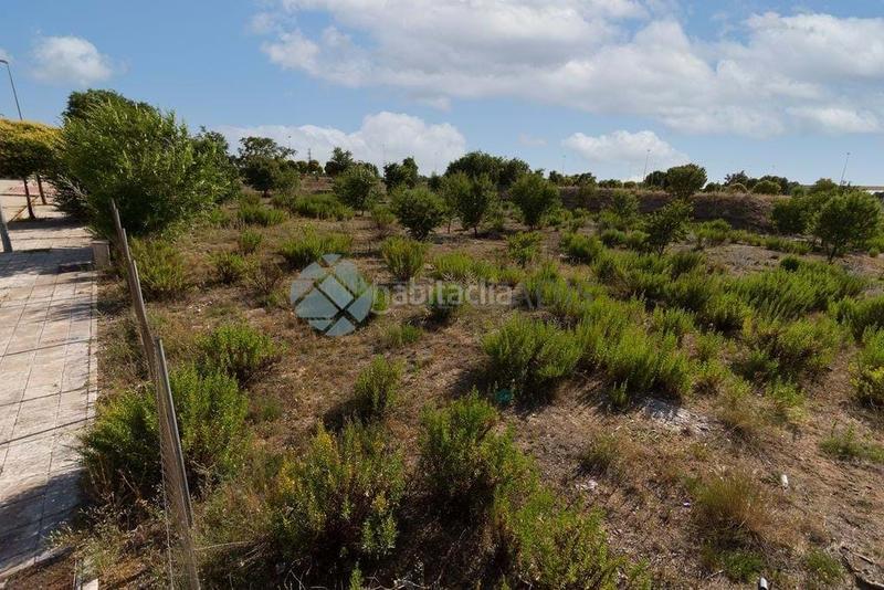 Foto 9c83b624-58b3-42ae-8c89-a9d50ece878b. Terreny residencial a Rejas Madrid