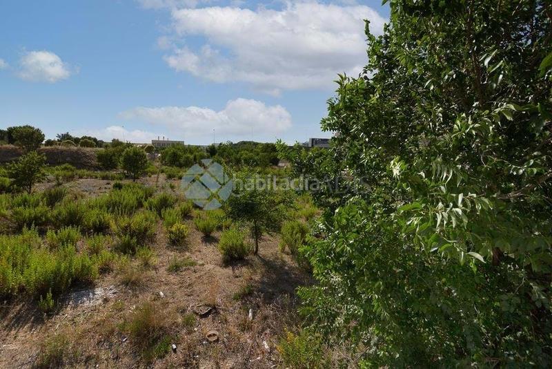 Foto ea66225c-8883-42f1-a828-8e1f97e0dc82. Terreny residencial a Rejas Madrid