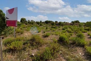 Terreno residenziale in Carmen Laforet