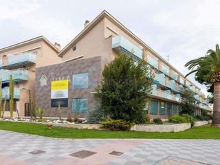 Local Comercial  Papa lluna