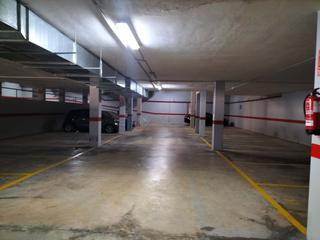 Posto auto  Charles darwin