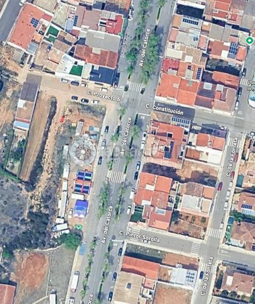 Foto 1f7f379c-47a5-4f0c-9f27-0e6d39944722. Pis a Bolbaite