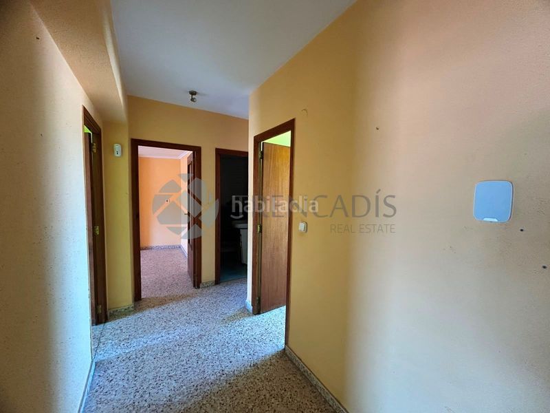 Foto 6f1da413-7958-4ae9-b082-f312a1bc4118. Pis a Llaurí