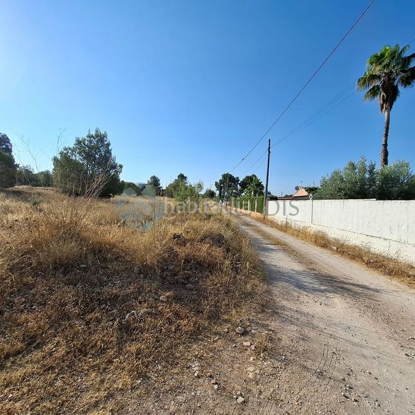 Foto d57d05aa-8c7f-47a8-8a33-96a052b095d4. Casa adossada a Urbanizaciones Llíria