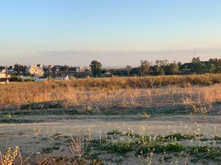 Terreny residencial a Burguillos. Parcela en burguillos