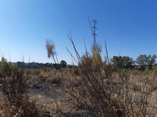 Terreny residencial  Pp-oe-r4