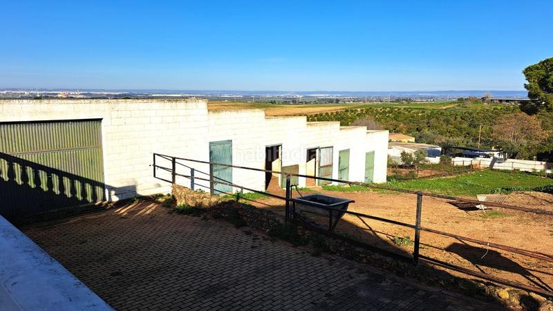 Foto 02c5ada3-77a2-4e01-b370-fe2cddb1c5f6. Casale con parcheggio piscina in Mairena del Alcor