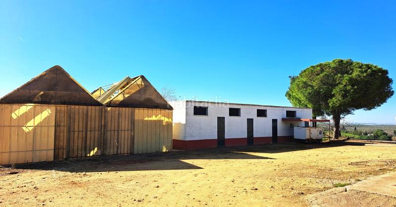 Foto 1d23023d-2f3b-4737-a2cf-ff74fd7b45f8. Casale con parcheggio piscina in Mairena del Alcor