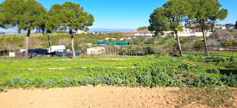 Foto 20cba4a4-288f-45cc-9f4d-7a0caf1e304a. Casale con parcheggio piscina in Mairena del Alcor