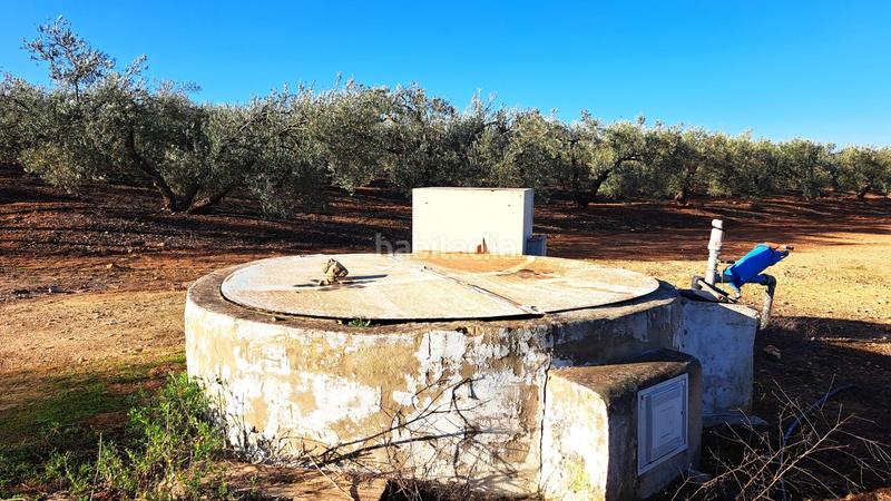 Foto 7d445c20-1124-4be8-a852-01686f382fbe. Casale con parcheggio piscina in Mairena del Alcor