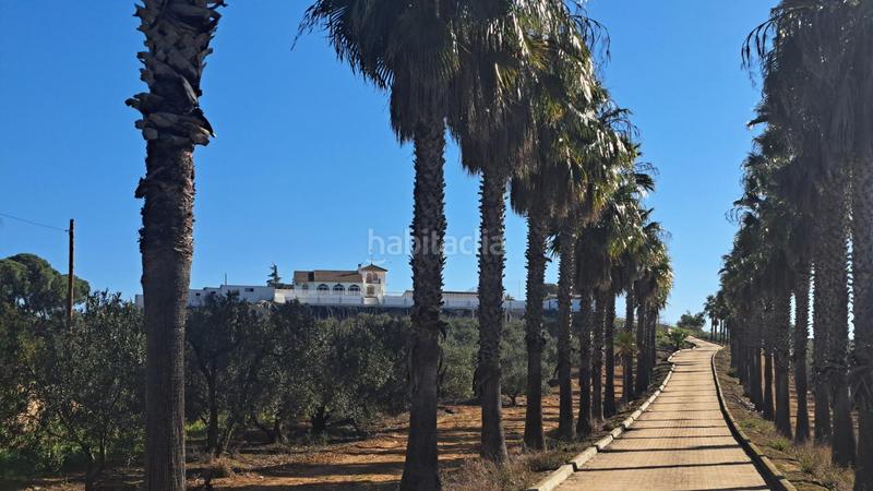 Foto 8281ded9-0ca9-4ca1-a499-afe8e20d4118. Casale con parcheggio piscina in Mairena del Alcor