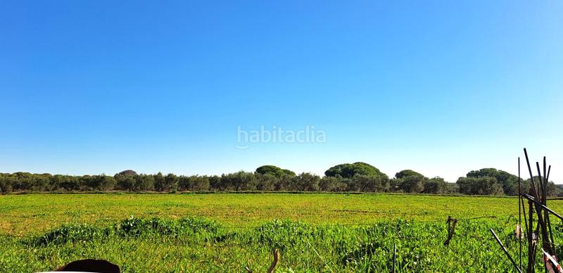 Foto b4d3cf0f-835a-4545-aa22-37d083173af3. Casale con parcheggio piscina in Mairena del Alcor