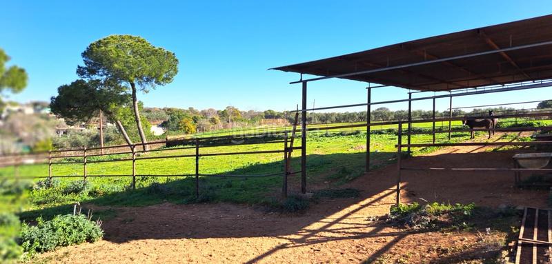 Foto c2830b76-db30-4529-9ed6-9f8d49c12e1c. Casale con parcheggio piscina in Mairena del Alcor