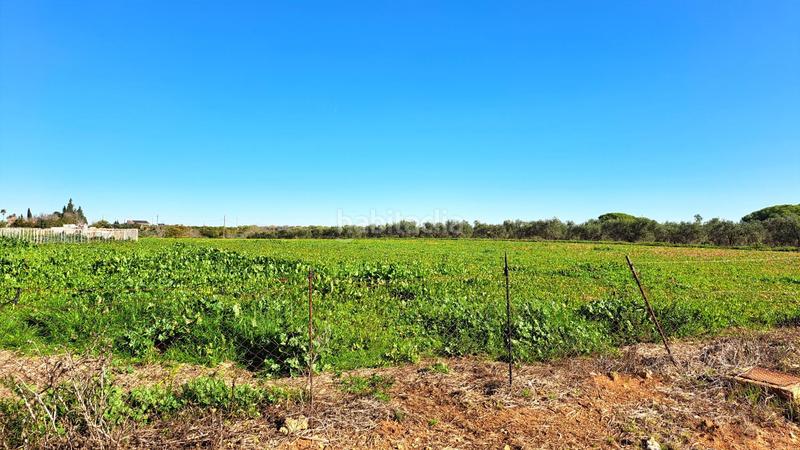 Foto cfc35306-7580-4214-9b3d-6cb7e0176668. Casale con parcheggio piscina in Mairena del Alcor