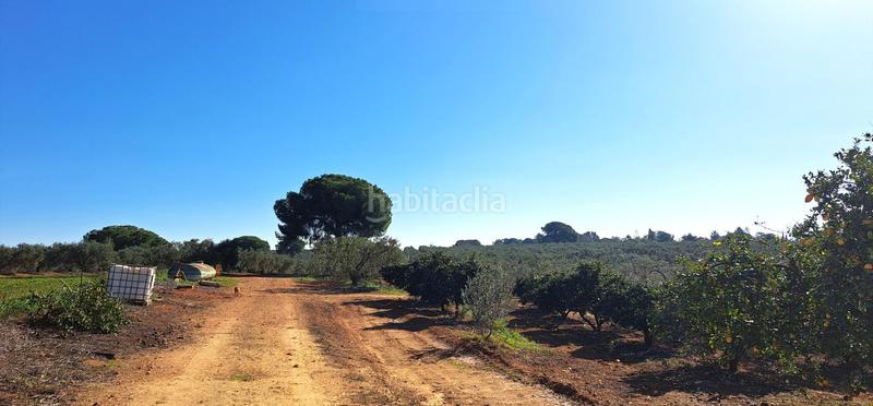 Foto ebf64d2e-8c8e-481c-9c58-e8a5e095bcc3. Casale con parcheggio piscina in Mairena del Alcor