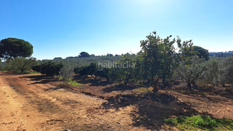 Foto ff5e2aed-6d42-444e-8992-ce4f65533214. Casale con parcheggio piscina in Mairena del Alcor