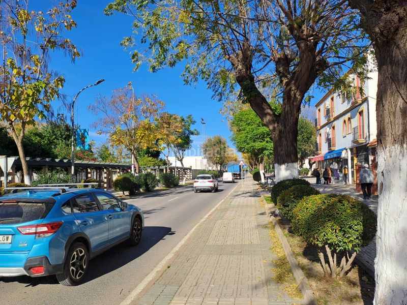 Foto 42ca3cc7-d02d-474d-99a0-4f5a3e73deb9. Lloguer local comercial a Villaverde del Río