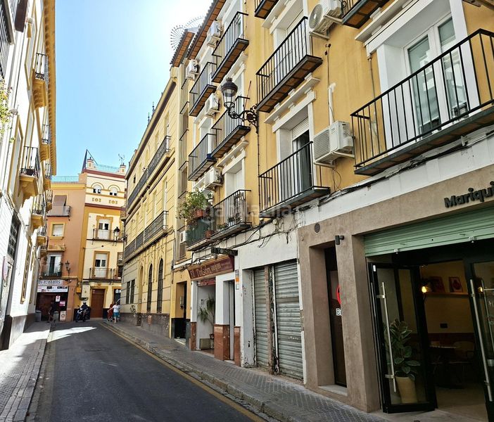 Foto a6898635-eaef-4823-9d60-492060796046. Dúplex a Encarnación - Regina Sevilla