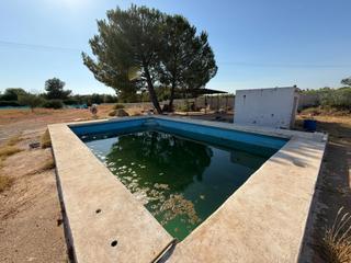 Finca rústica a Chaparral el 27. Exclusiva oportunidad! terreno rústico en el chaparral carmona,