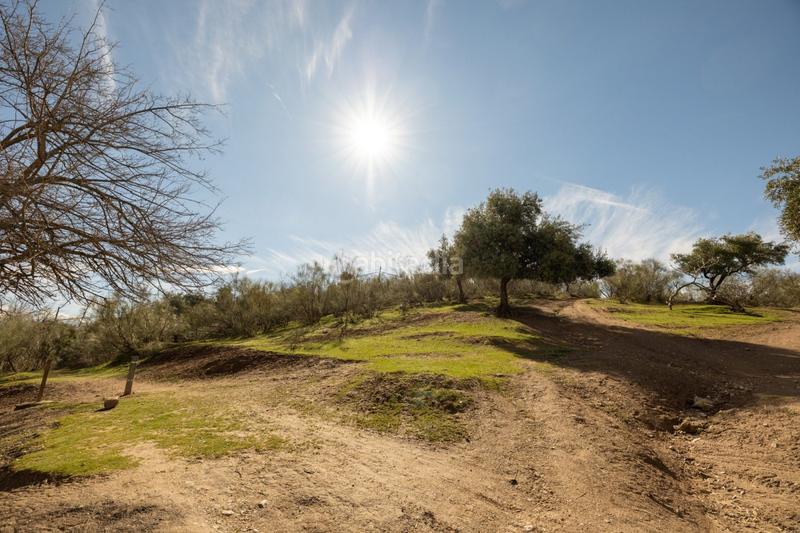 Foto 07ddb933-4bfe-4c5f-9f96-0bcf509c80dc. Masia a Barrio de Albaicín Granada