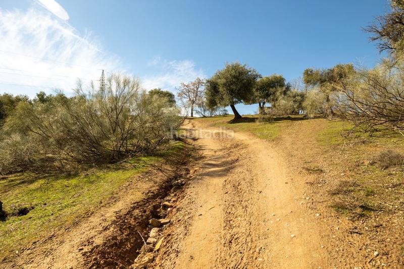 Foto 10553a72-dfc9-4971-8d38-97cbe2a668dc. Masia a Barrio de Albaicín Granada