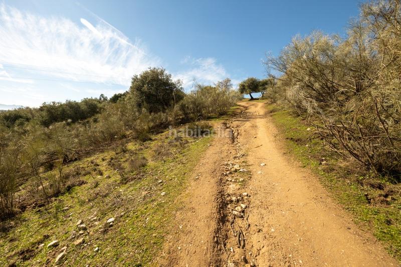 Foto 1ffdcf45-bb4f-4ef6-9b19-b37260e7bc1e. Masia a Barrio de Albaicín Granada