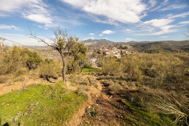 Foto 2cece5ef-e6ad-40bb-adb5-1a94a0d47bd0. Masia a Barrio de Albaicín Granada