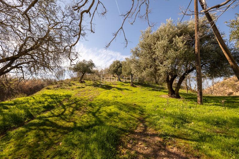 Foto 3877763d-a9ef-49b4-9824-c5f8afa7a3cd. Masia a Barrio de Albaicín Granada