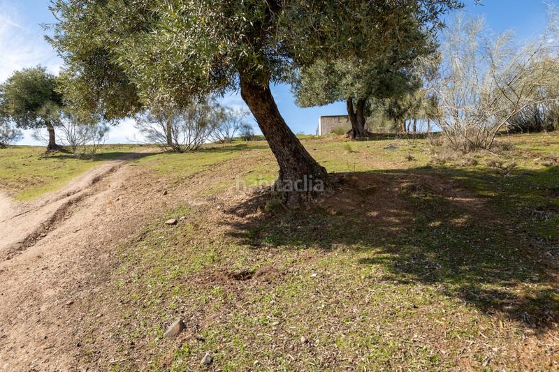 Foto 81281cb6-5995-4772-a9cf-ec829ece0b1f. Masia a Barrio de Albaicín Granada