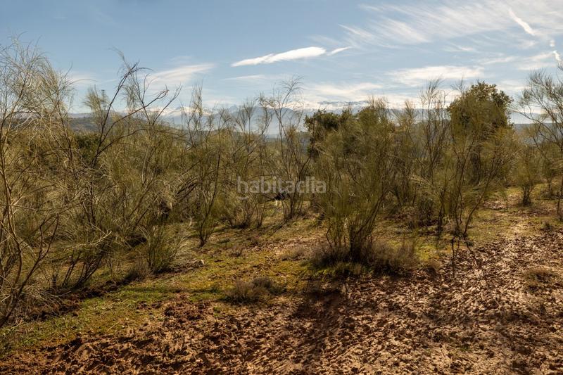 Foto ac6526c9-04a6-4edf-a38e-9c3405f5b9dc. Masia a Barrio de Albaicín Granada
