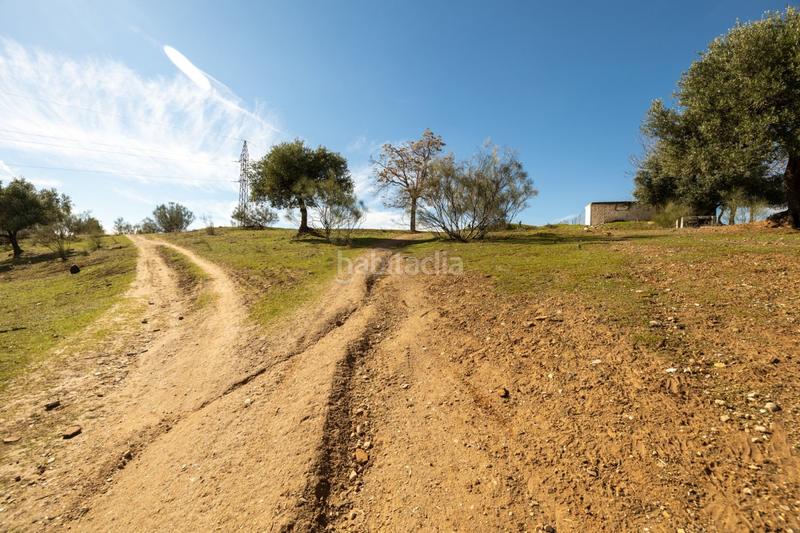 Foto b36ed638-65ee-4276-a724-968485c3a8ff. Masia a Barrio de Albaicín Granada