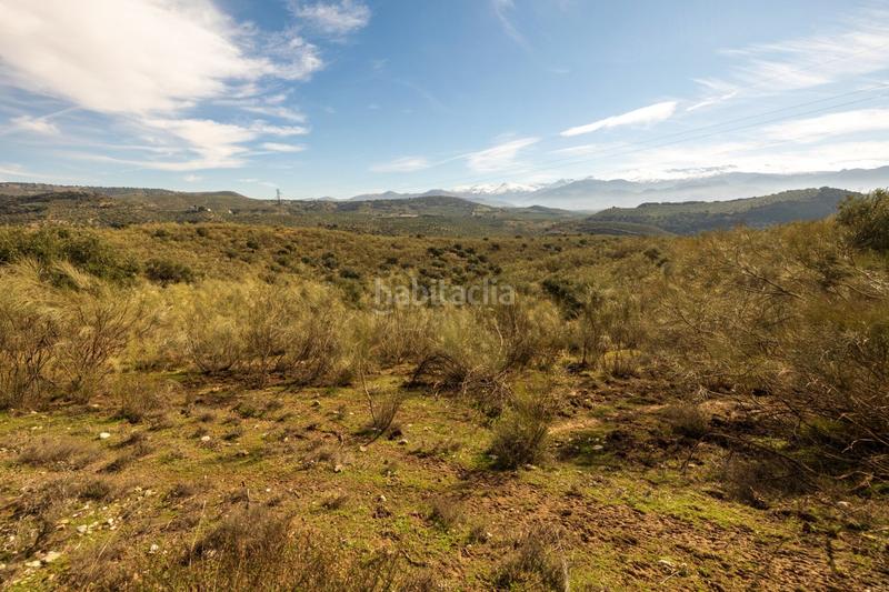 Foto b6ad1d52-93f2-412f-8320-5adea733d8ff. Masia a Barrio de Albaicín Granada