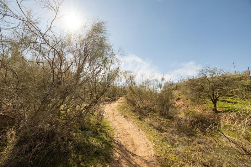 Foto c83ab6dc-550e-4481-94c5-993a2a23aeb1. Masia a Barrio de Albaicín Granada