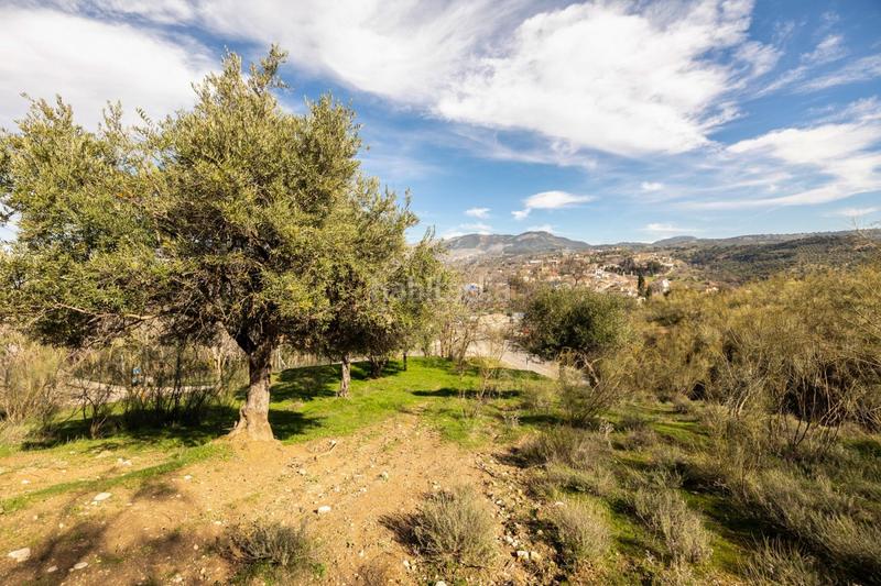 Foto d1d8fa82-cf18-44f1-9d9d-ee90cb081cc3. Masia a Barrio de Albaicín Granada