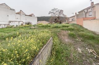 Terrain résidentiel à Crta. De la Sierra. Importante oportunidad de inversión en granada