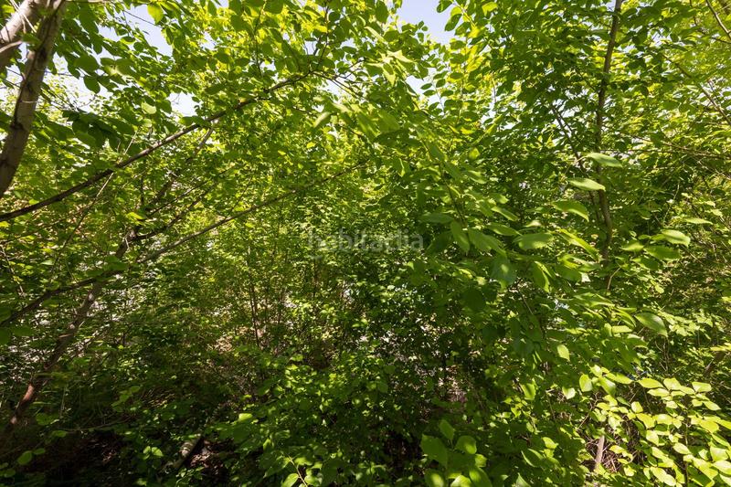 Foto de71bd6e-9020-4fca-80ce-43254001ac2d. Terreno residenziale in calle de las casillas 10 in Monachil