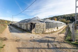 Terreny residencial a Paraje majada de las piedras arenas del rey, grana. Finca de labranza en arenas del rey